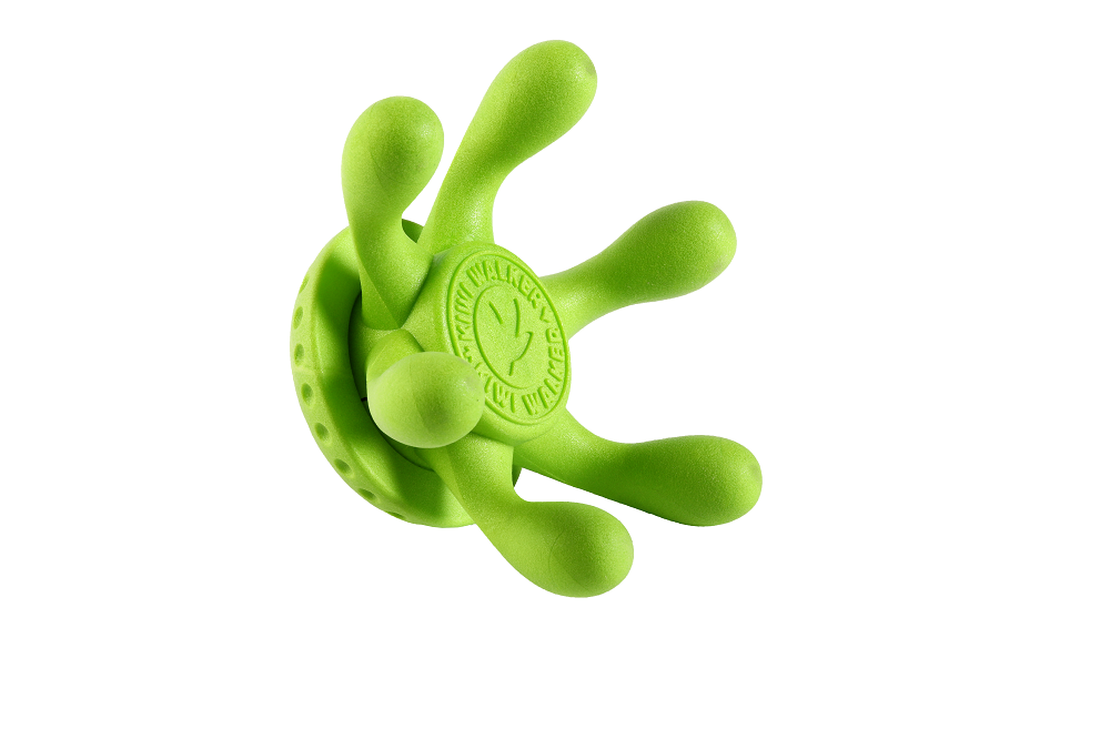 Octopus-gr-n