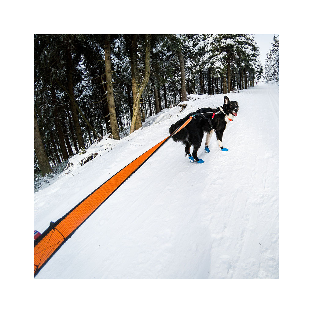Bungee-3