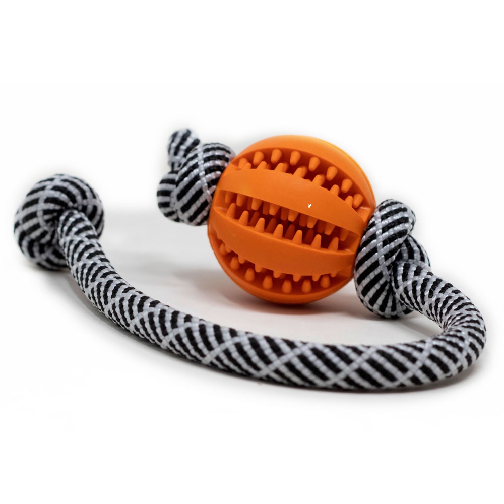 Zebra-orange-klein