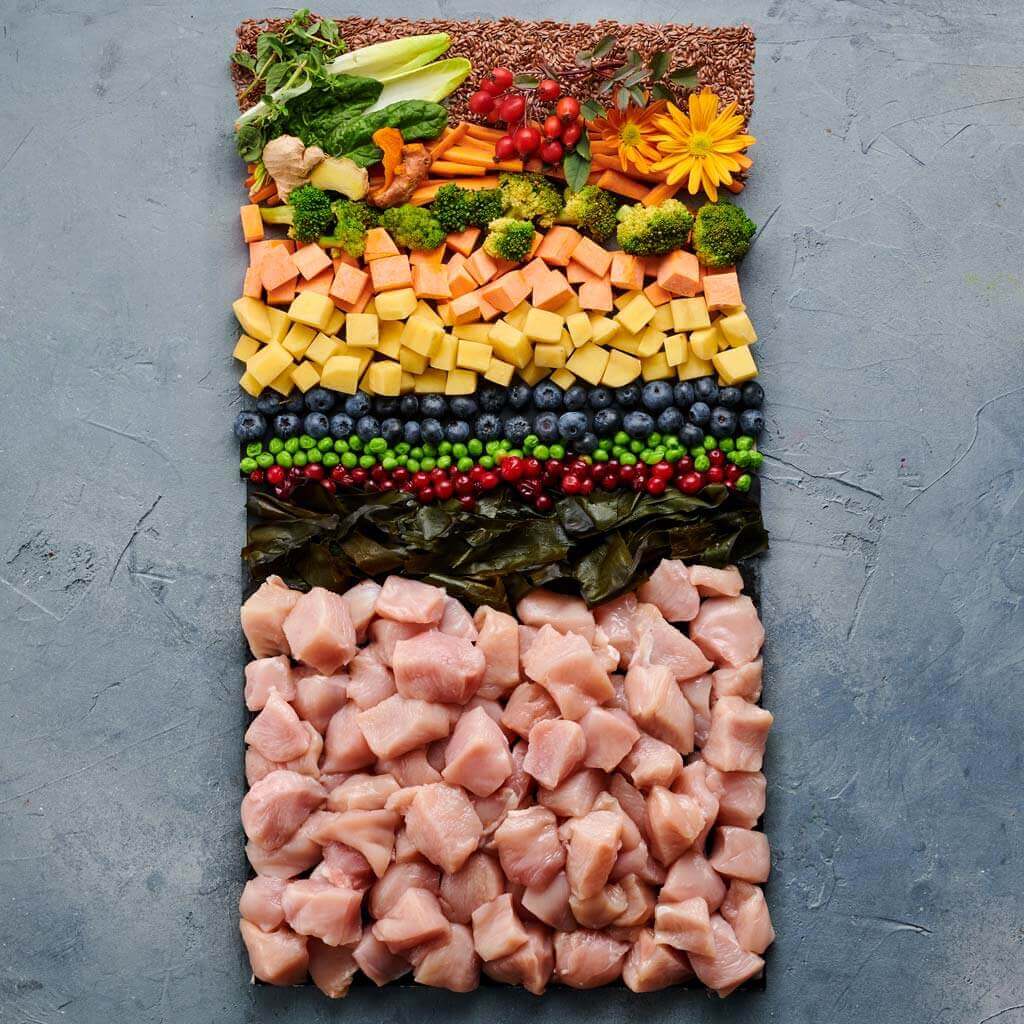 Zutaten für Irish Pure Junior Trockenfutter: Freiland-Huhn, Gemüse und Kelp-Alge