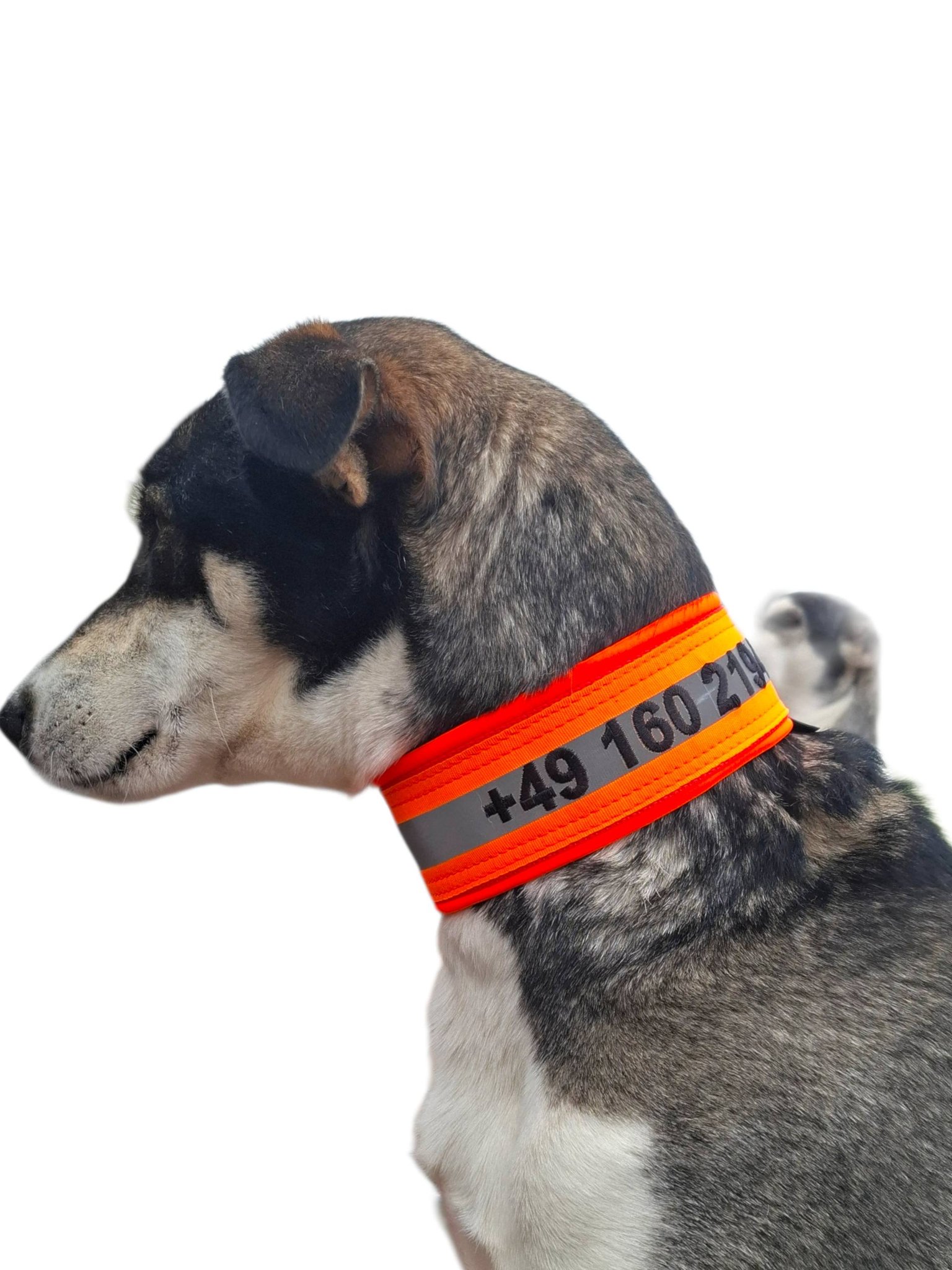 Signalhalsung mit Bestickung