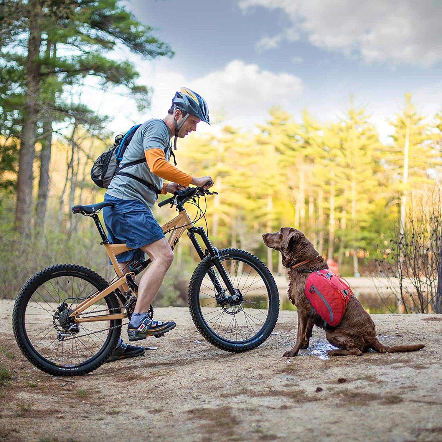 Kurgo Baxter Rucksack für Hunde in Rot, getragen von einem Hund während einer Fahrradtour im Wald neben einem Radfahrer.