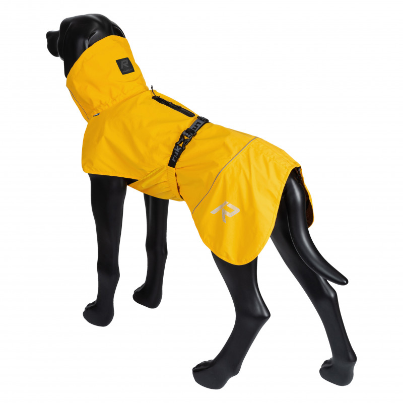 Hund trägt den gelben RukkaPets Regenmantel Hayton ECO mit Kapuze, wetterfester Schutz in Rückansicht.