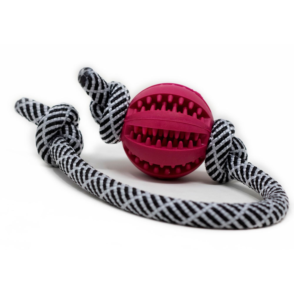 Zebra-pink-klein