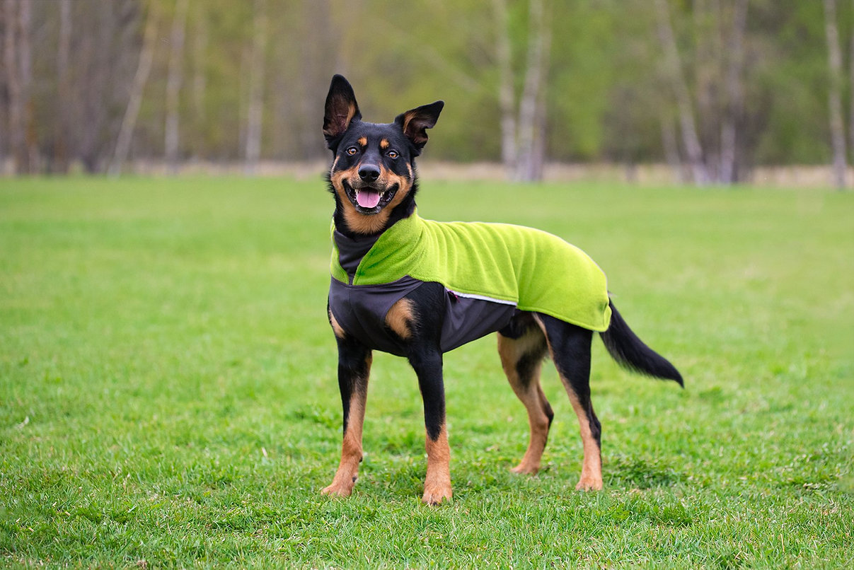 Pomppa Jumppa Fleece Pullover limette