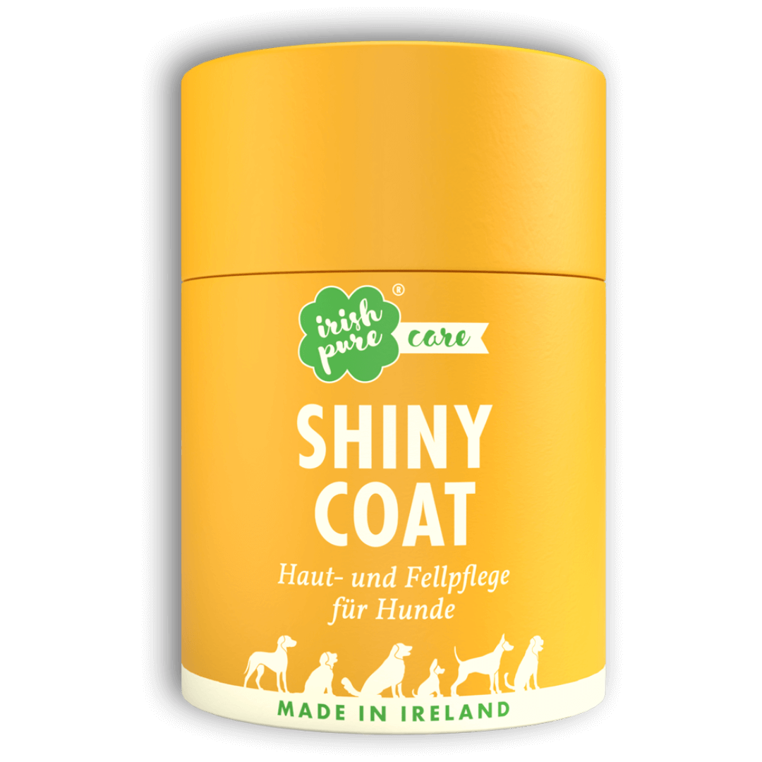 Shiny-1