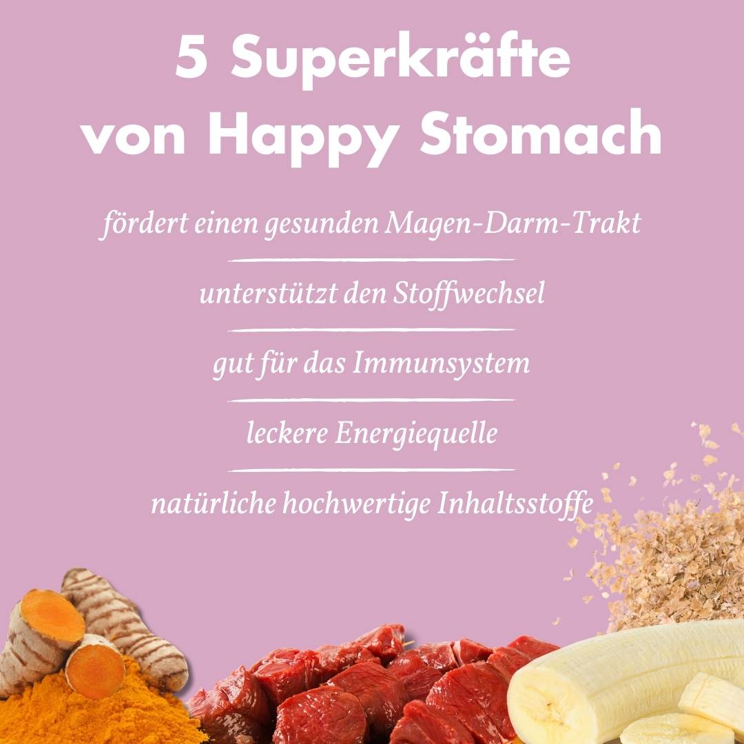 Stomach-4