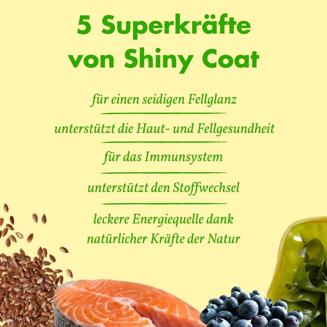 Shiny-4