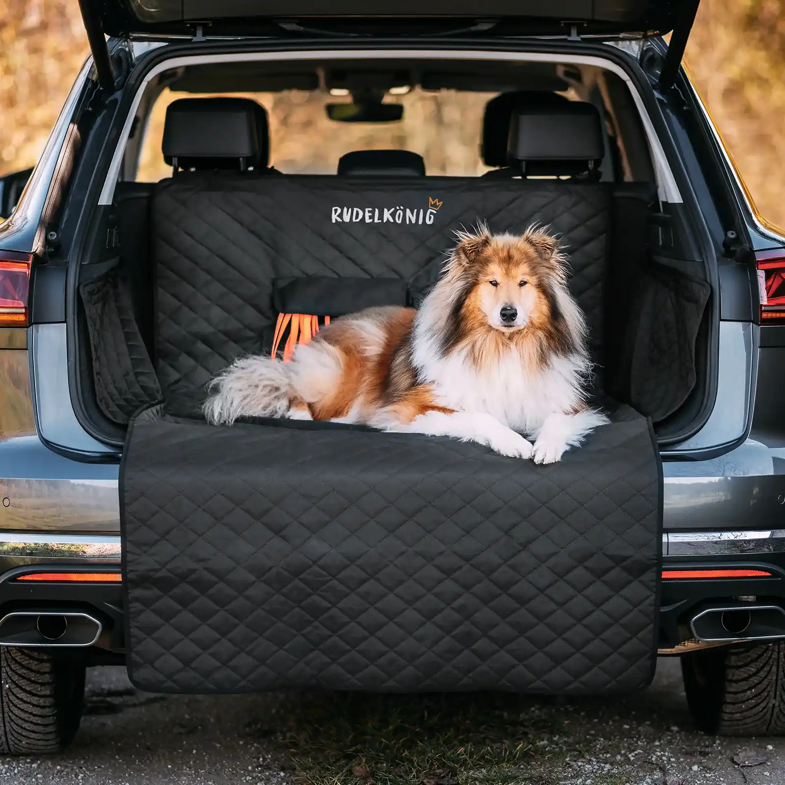 Hund liegt entspannt auf dem Rudelkönig Kofferraumschutz im geöffneten Auto-Kofferraum