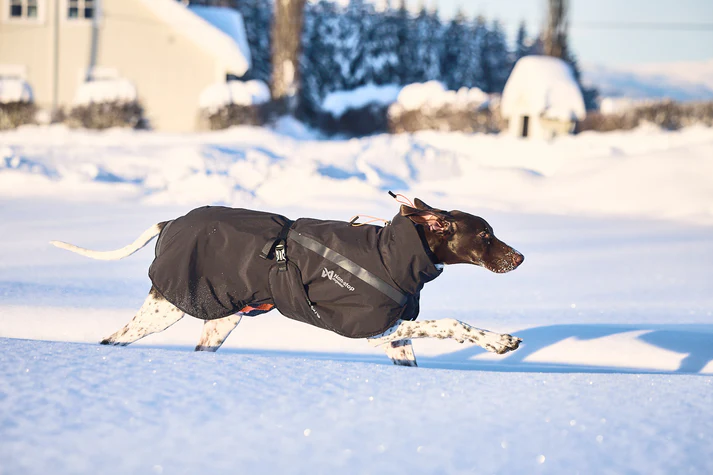 trekking_insulated_dog_jacket_setting_2 Nonstop Trekking Insulated Dog Jacket