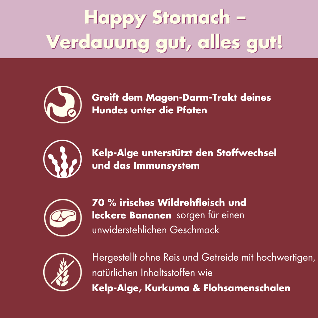 Stomach-3