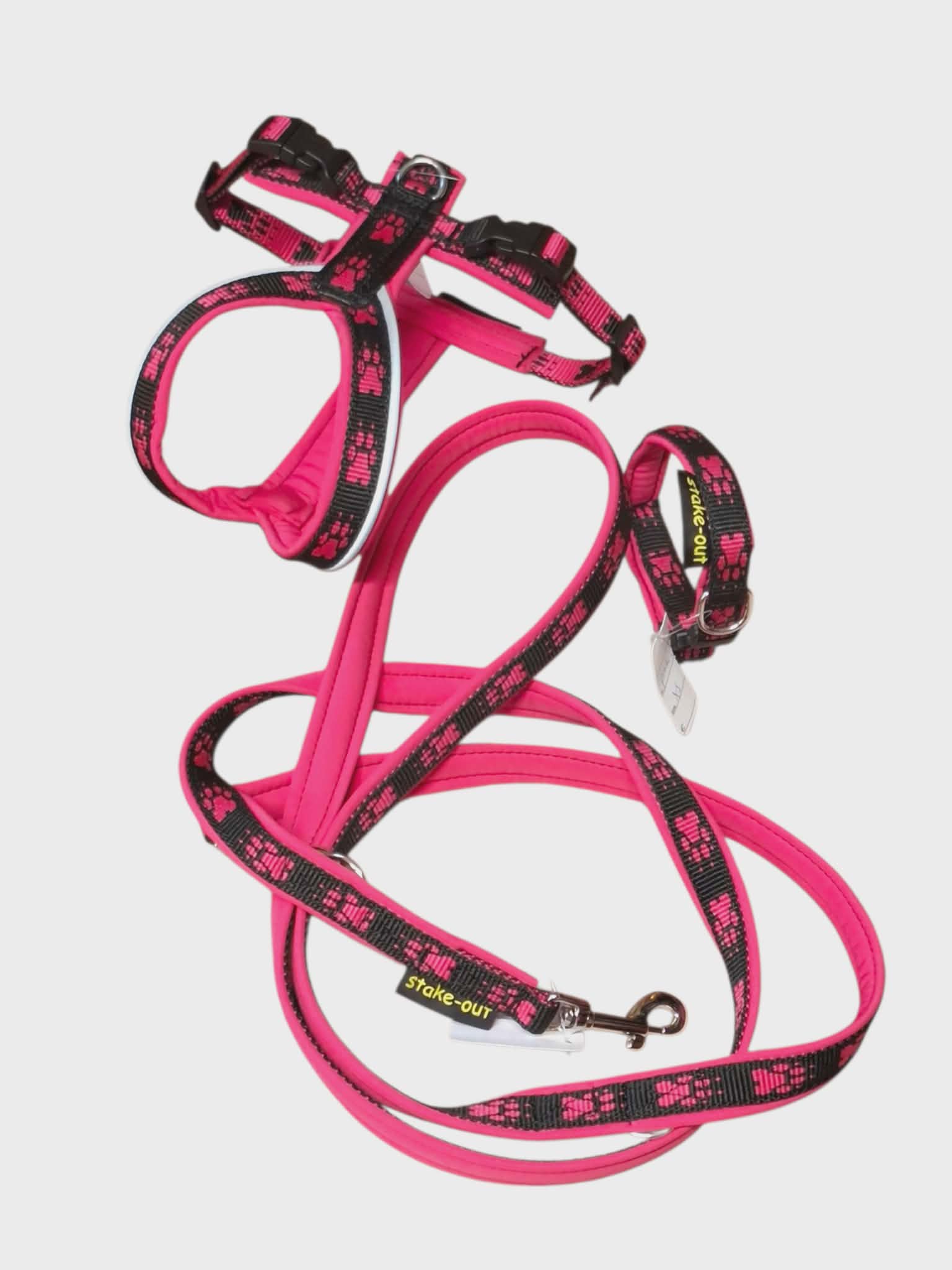 Set für kleine Hunde ( Geschirr, Leine, Halsband )
