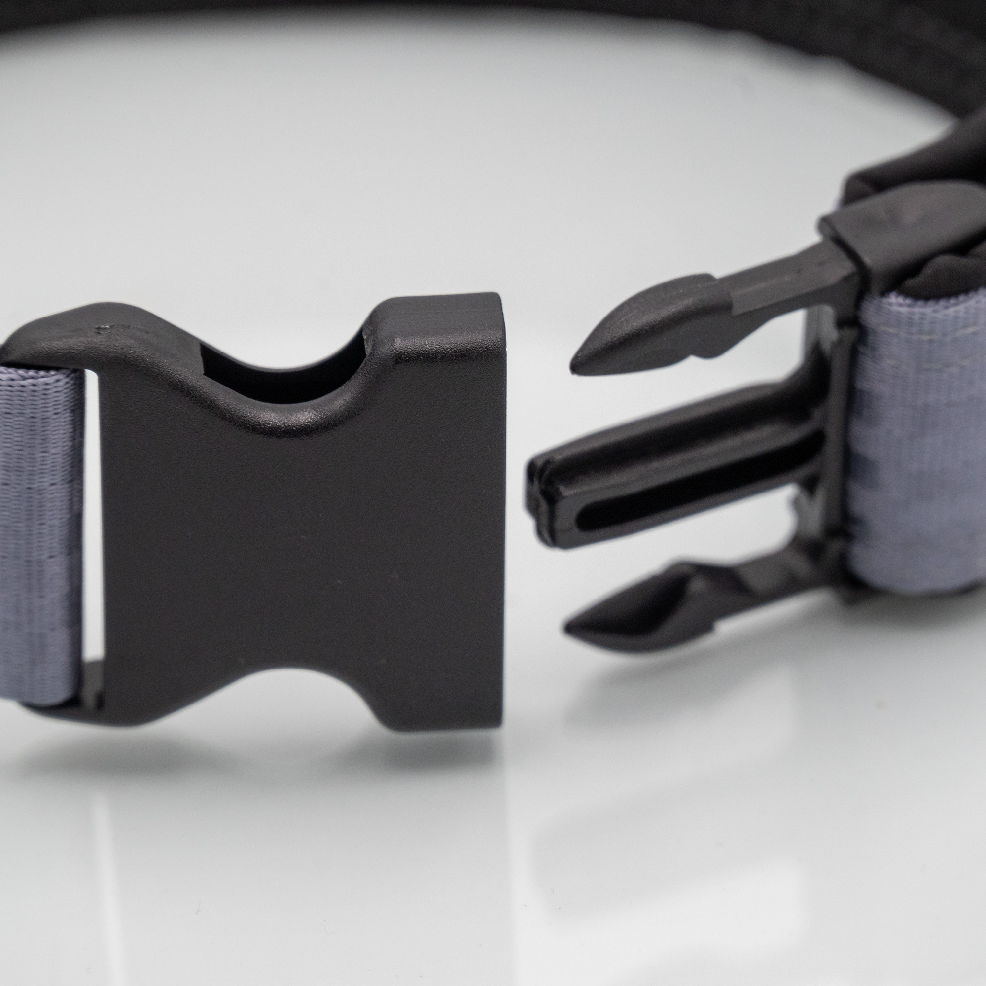 Detail Steckschnalle Detailaufnahme Sicherheitsgurt-Hundehalsband mit Kunststoffsteckschnalle