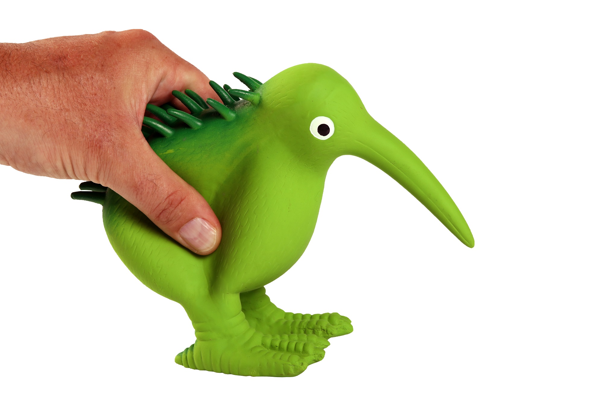 kiwi_walker_vogel_2