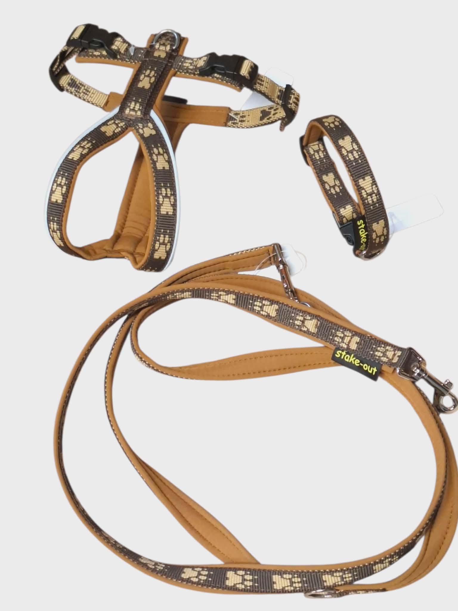 Set für kleine Hunde ( Geschirr, Leine, Halsband )