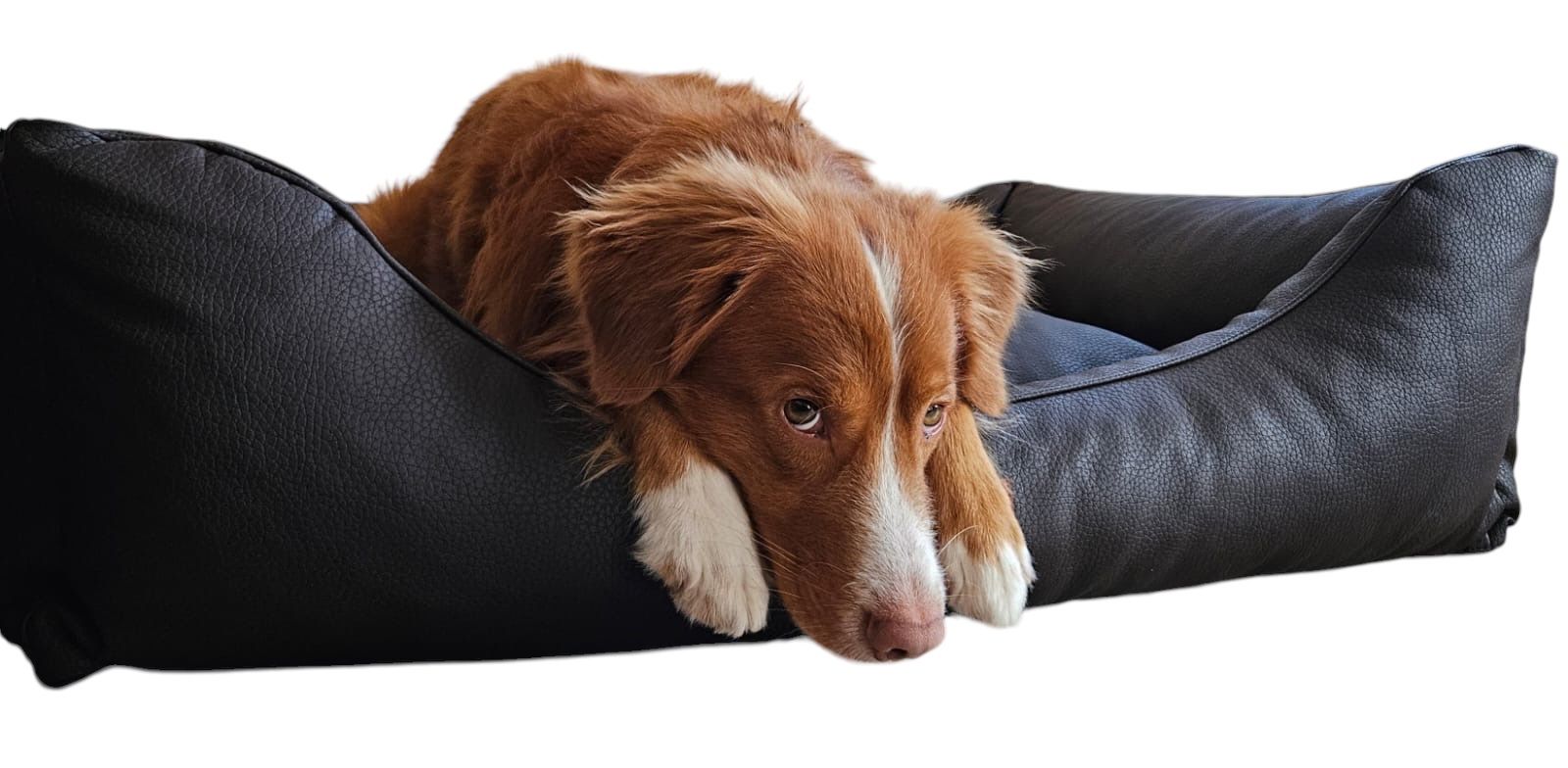 Orthopädisches Hundebett Milano aus Kunstleder schwarz