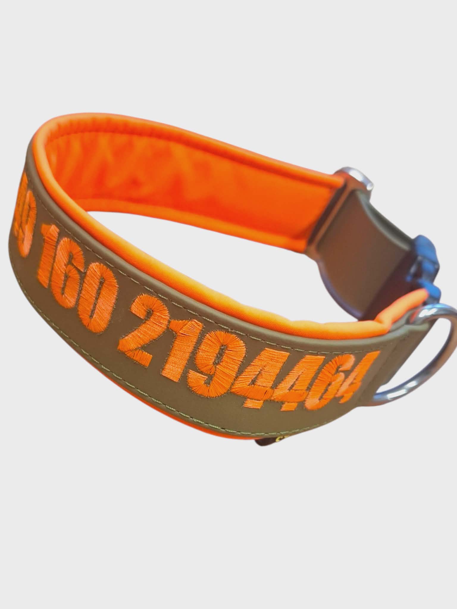 Stake-Out Biothane Halsband 38mm mit stabiler Kunststoff Steckschnalle und V2A Edelstahl Leinenring