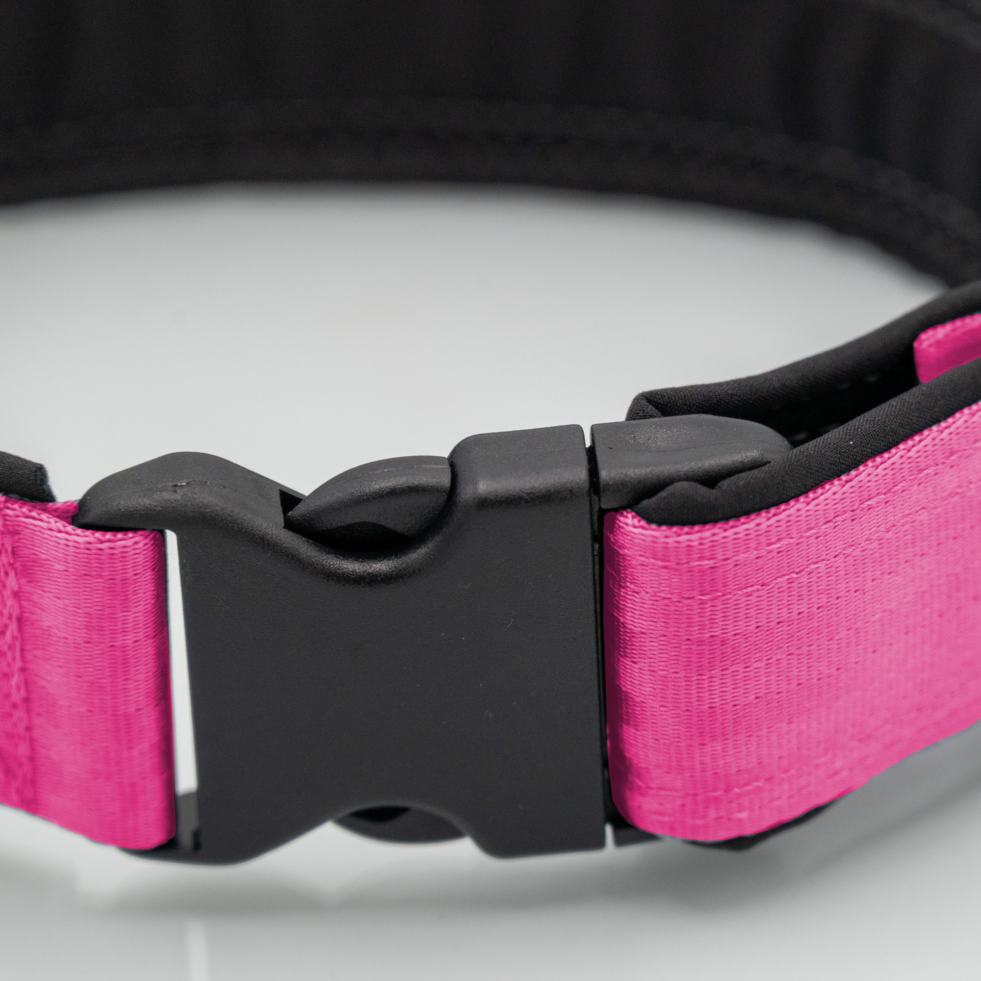 Pink/Schwarz Sicherheitsgurt-Hundehalsband in Pink/Schwarz mit Softshell-Polsterung und Steckschnalle