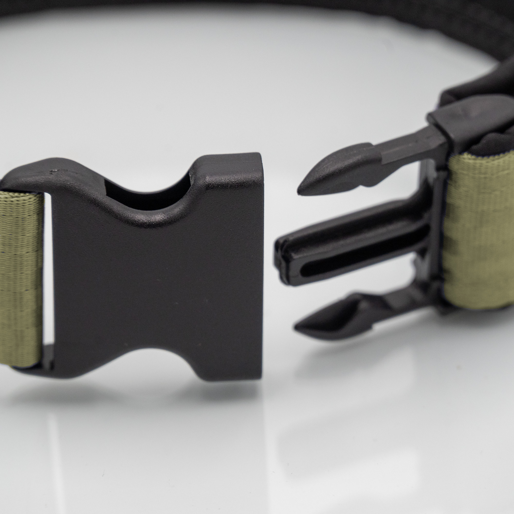 Detail Steckschnalle Detailaufnahme Sicherheitsgurt-Hundehalsband mit Kunststoffsteckschnalle_var1