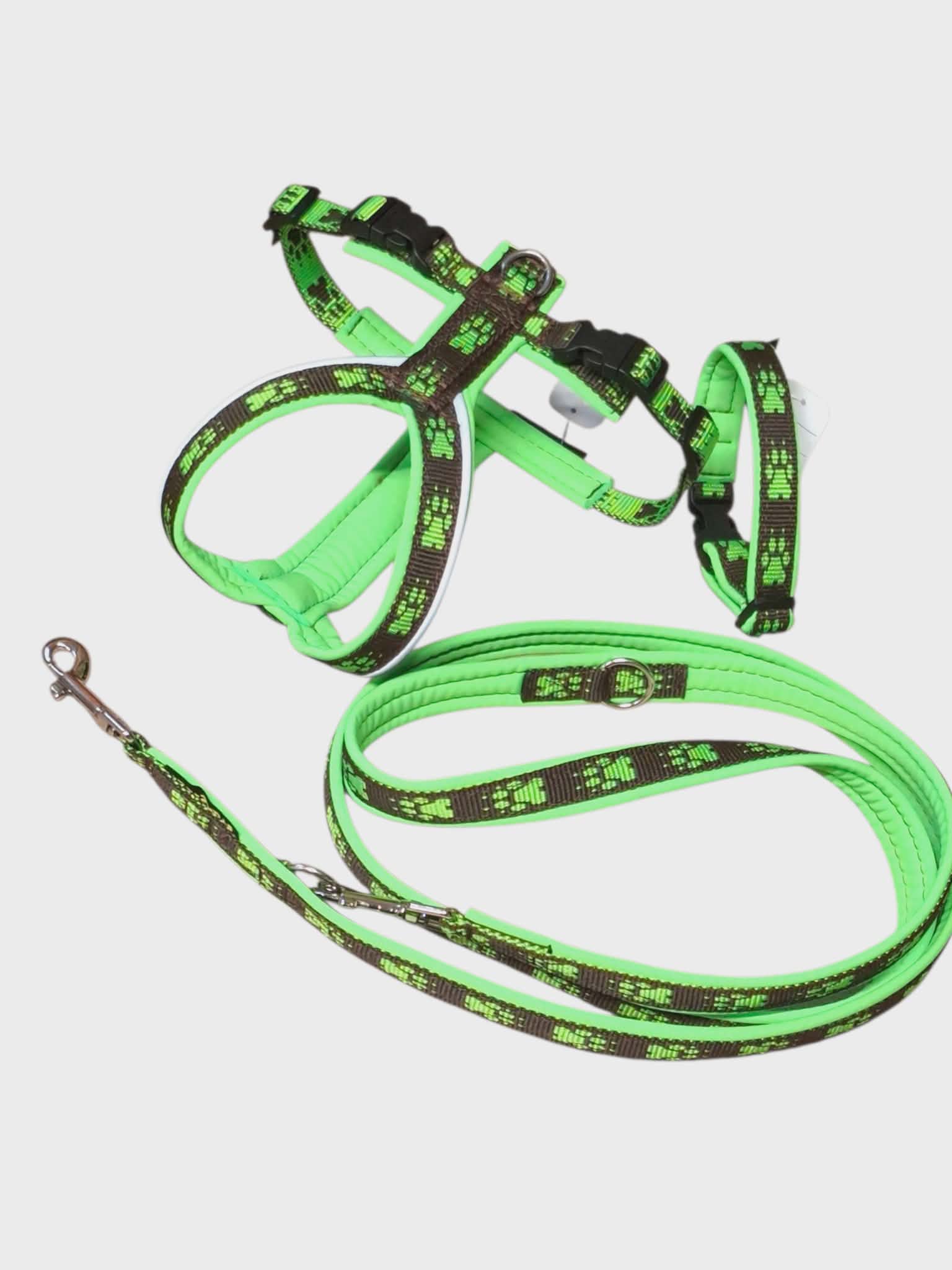 Set für kleine Hunde ( Geschirr, Leine, Halsband )