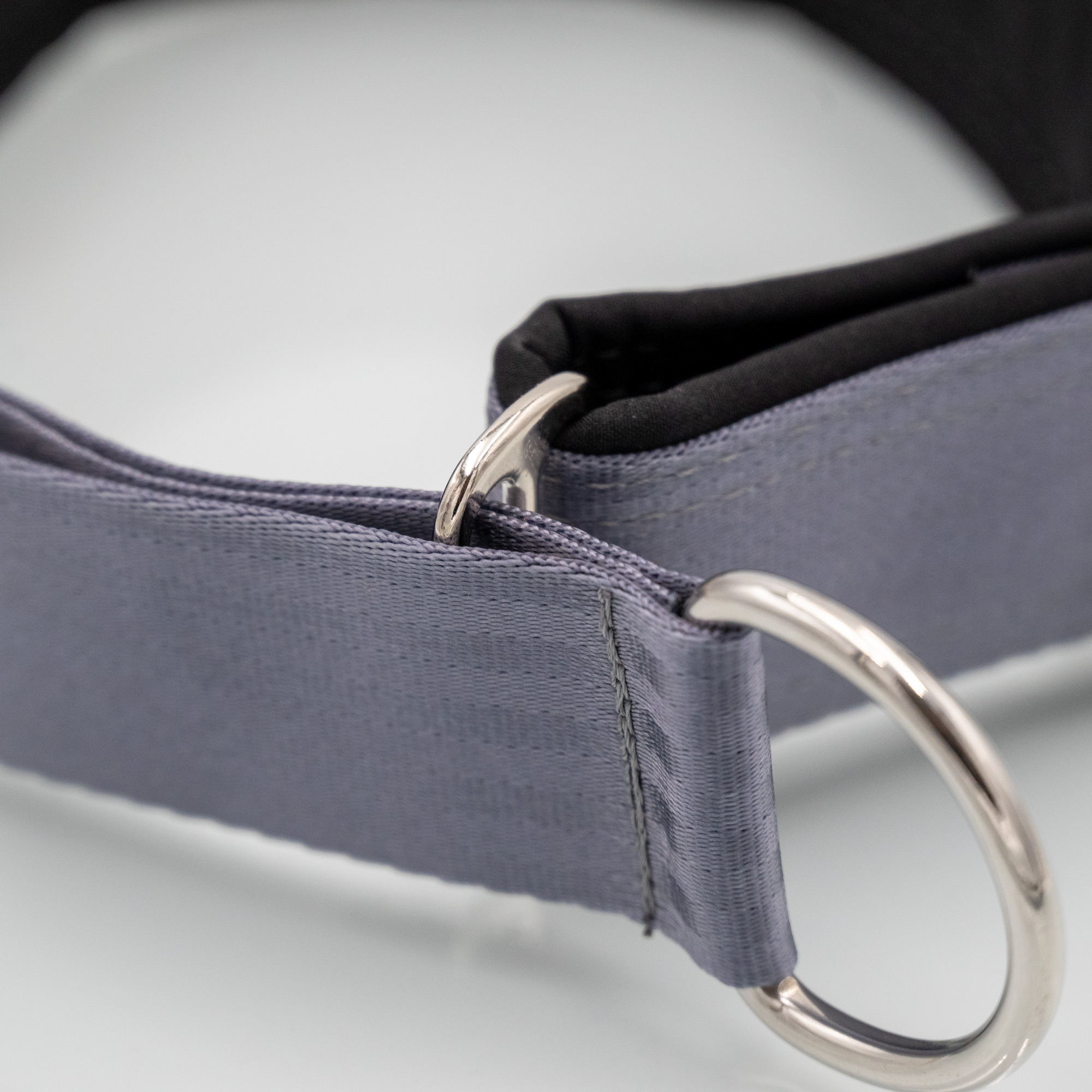 Detail Zugstopp Detailaufnahme Zugstopp-Schieber am Sicherheitsgurt-Hundehalsband mit Softshell_var2