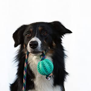 11d7b096-96f4-4efa-a25d-b8289110585e-__CR0-320-1280-1280_PT0_SX300_V1___ Ball am Tau in 2 Größen