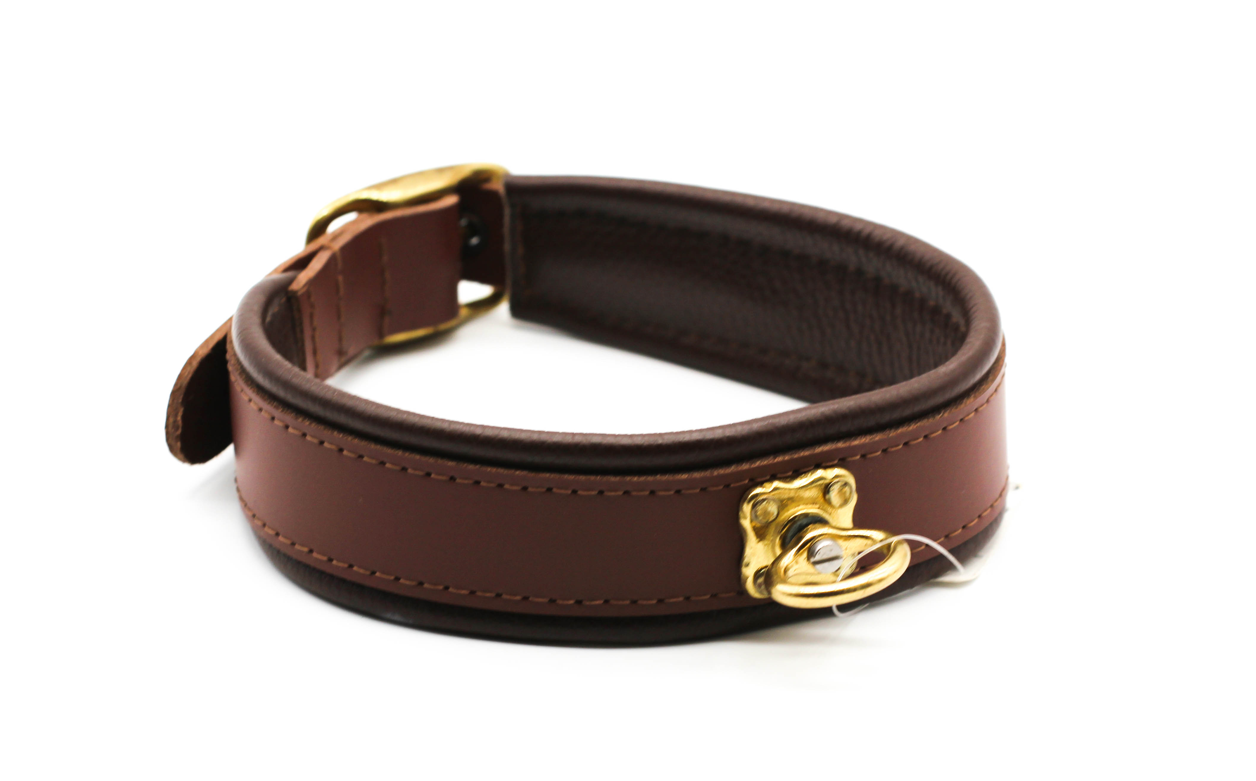 Lederhalsband Dunkelbraun Gold Leder-Hundehalsband Dunkelbraun mit goldener Gürtelschnalle und Nappapolsterung