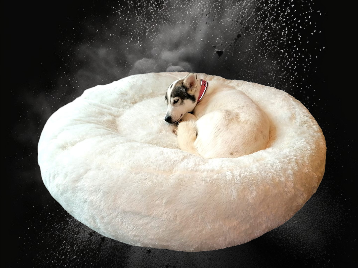 Flocke-2-Photoroom Orthopädisches Hundebett "Barla"