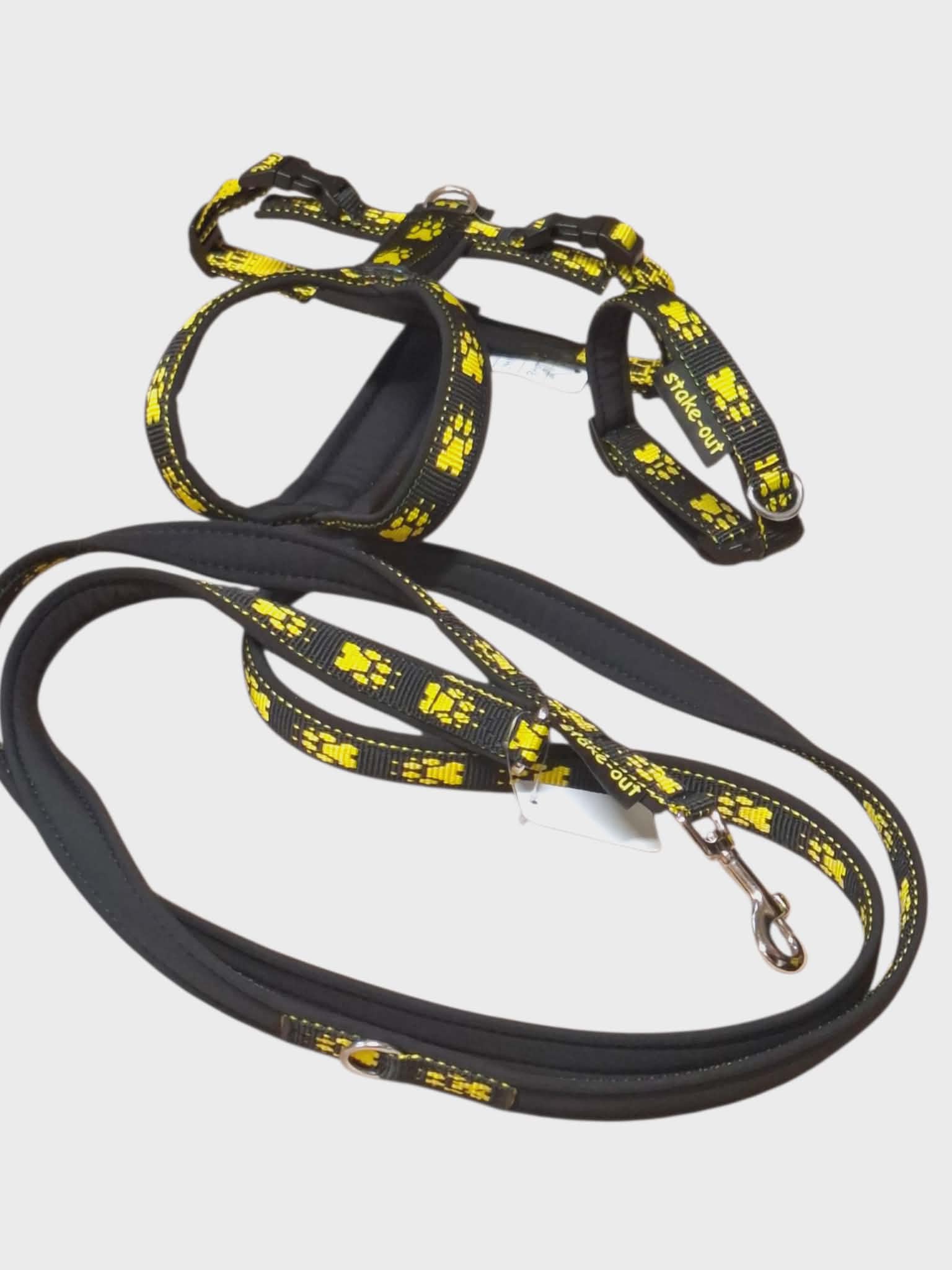 Set für kleine Hunde ( Geschirr, Leine, Halsband )