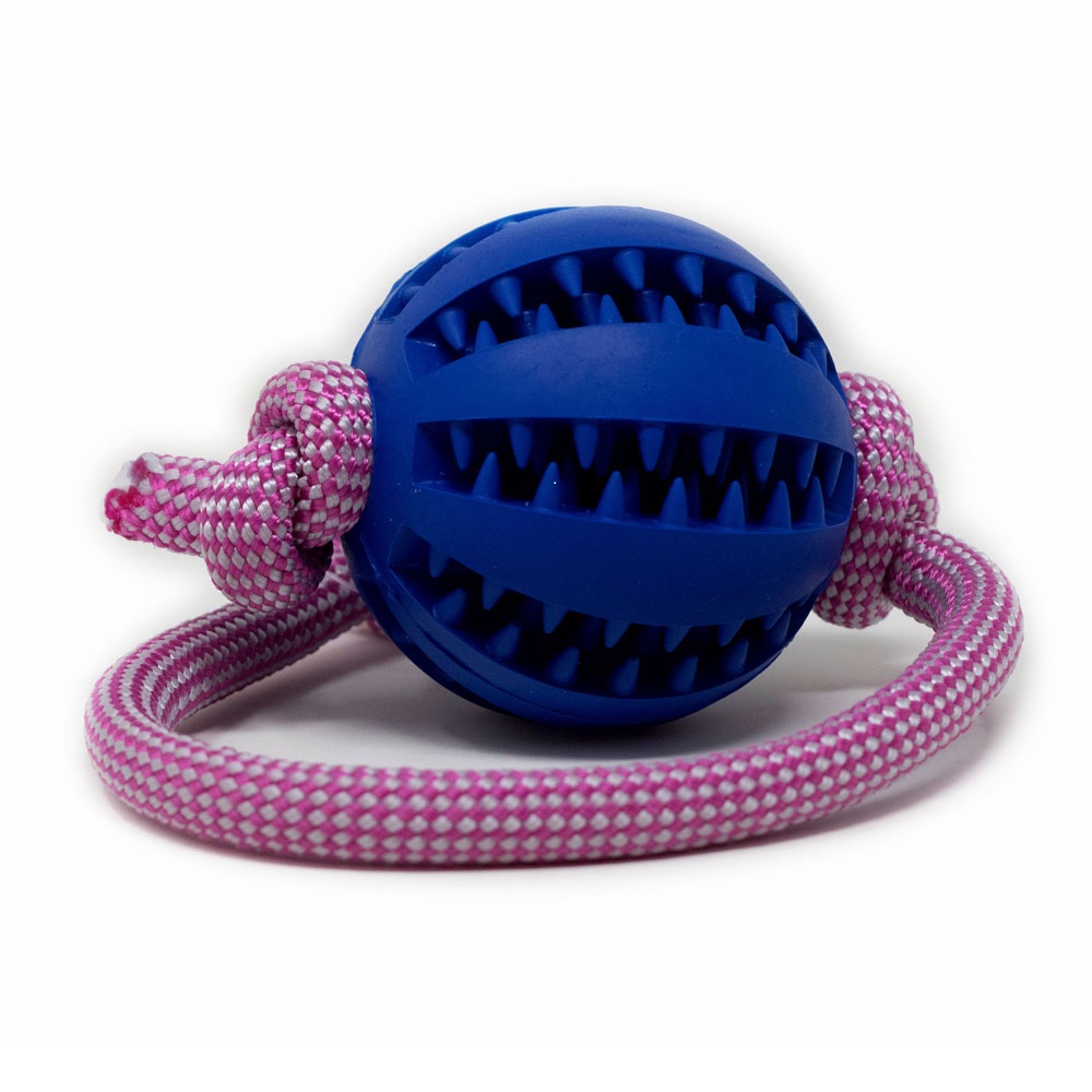Wildrose-blau-gross