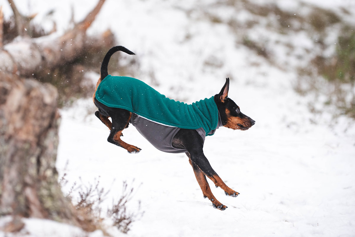 Pomppa-gr-n Pomppa Jumppa Fleece Pullover Forrest (grün)