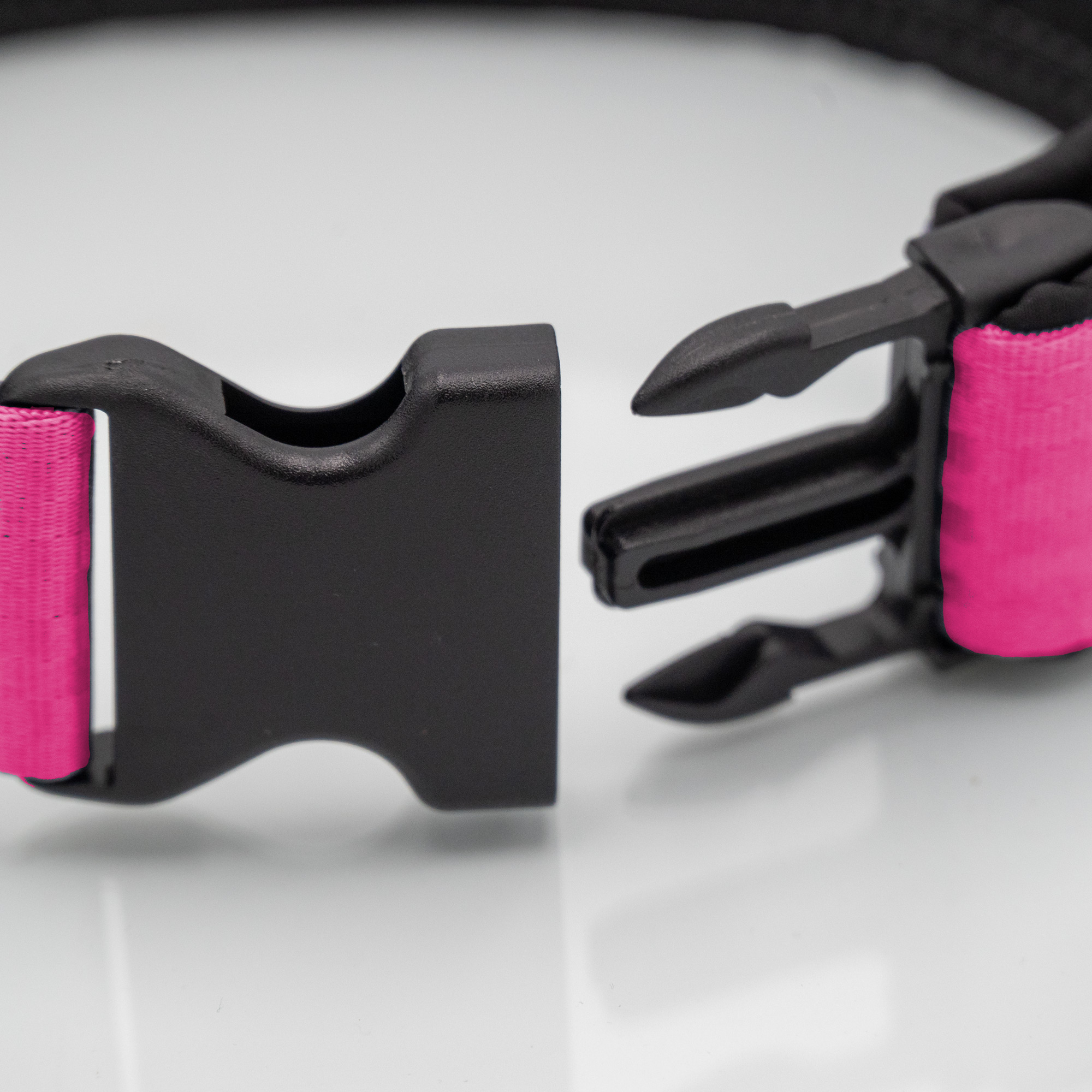 Detail Steckschnalle Detailaufnahme Sicherheitsgurt-Hundehalsband mit Kunststoffsteckschnalle_var2