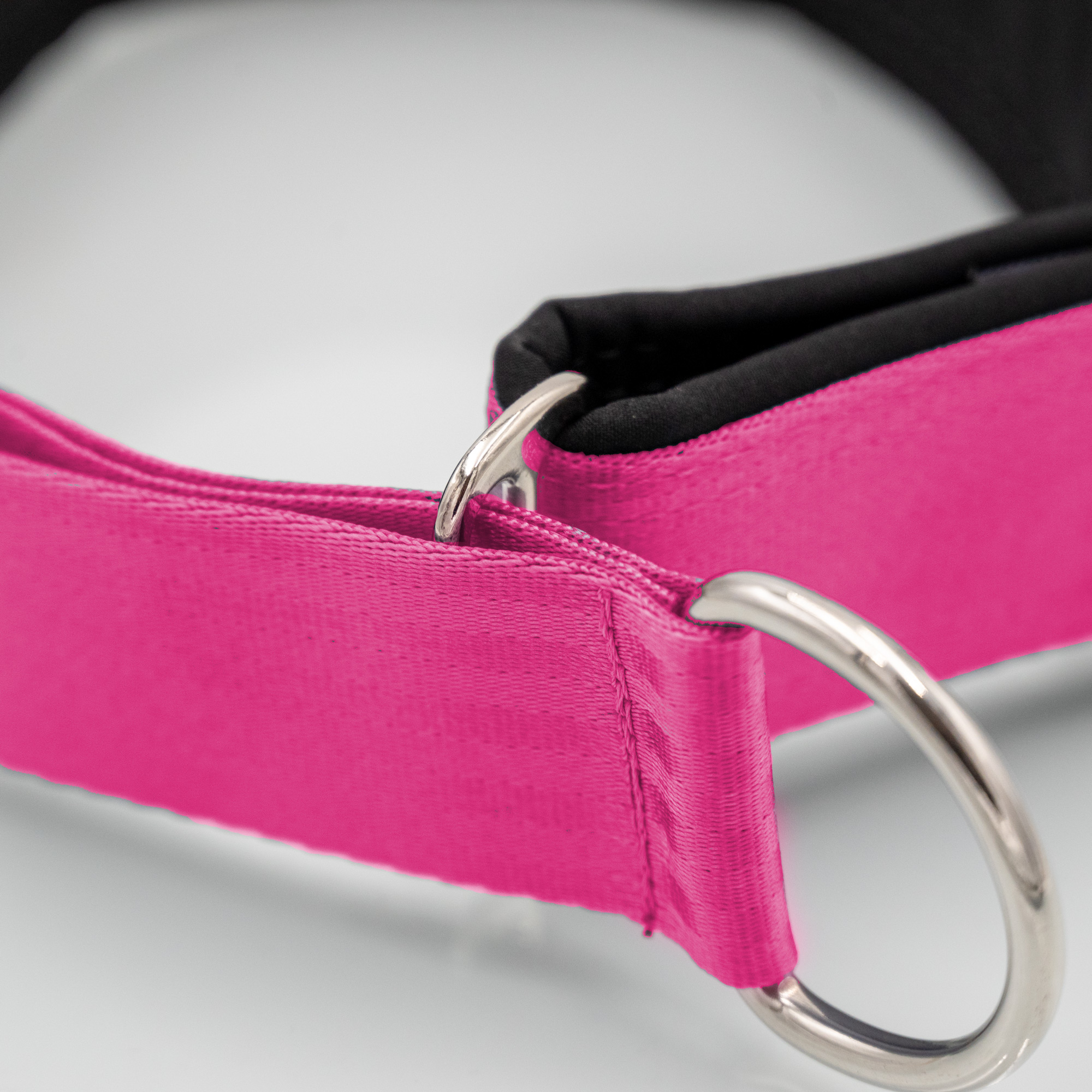 Detail Zugstopp Detailaufnahme Zugstopp-Schieber am Sicherheitsgurt-Hundehalsband mit Softshell_var1