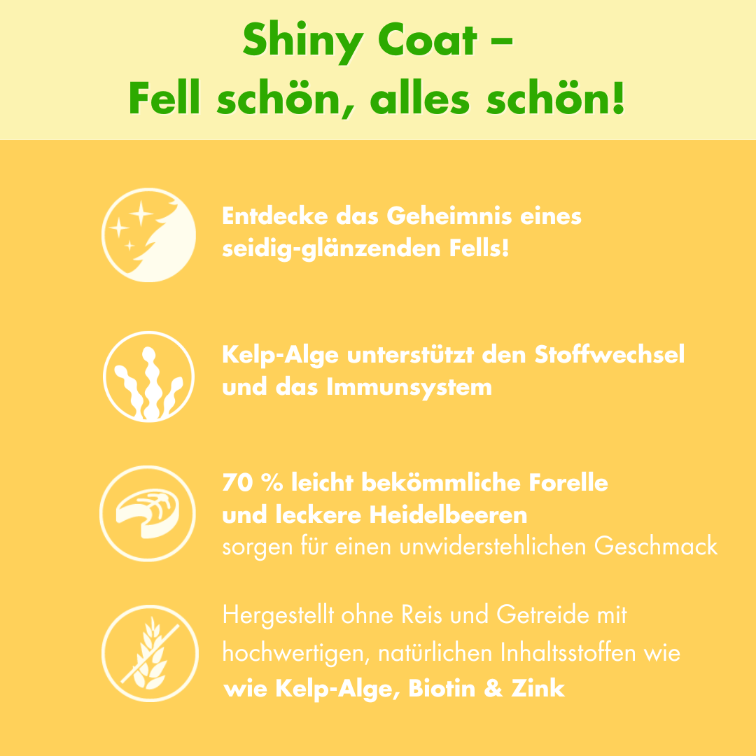 Shiny-3