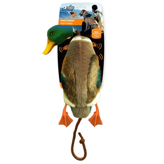 AFPH04070-afp-classic-hunter-mallard Jagdhunde Apportierente