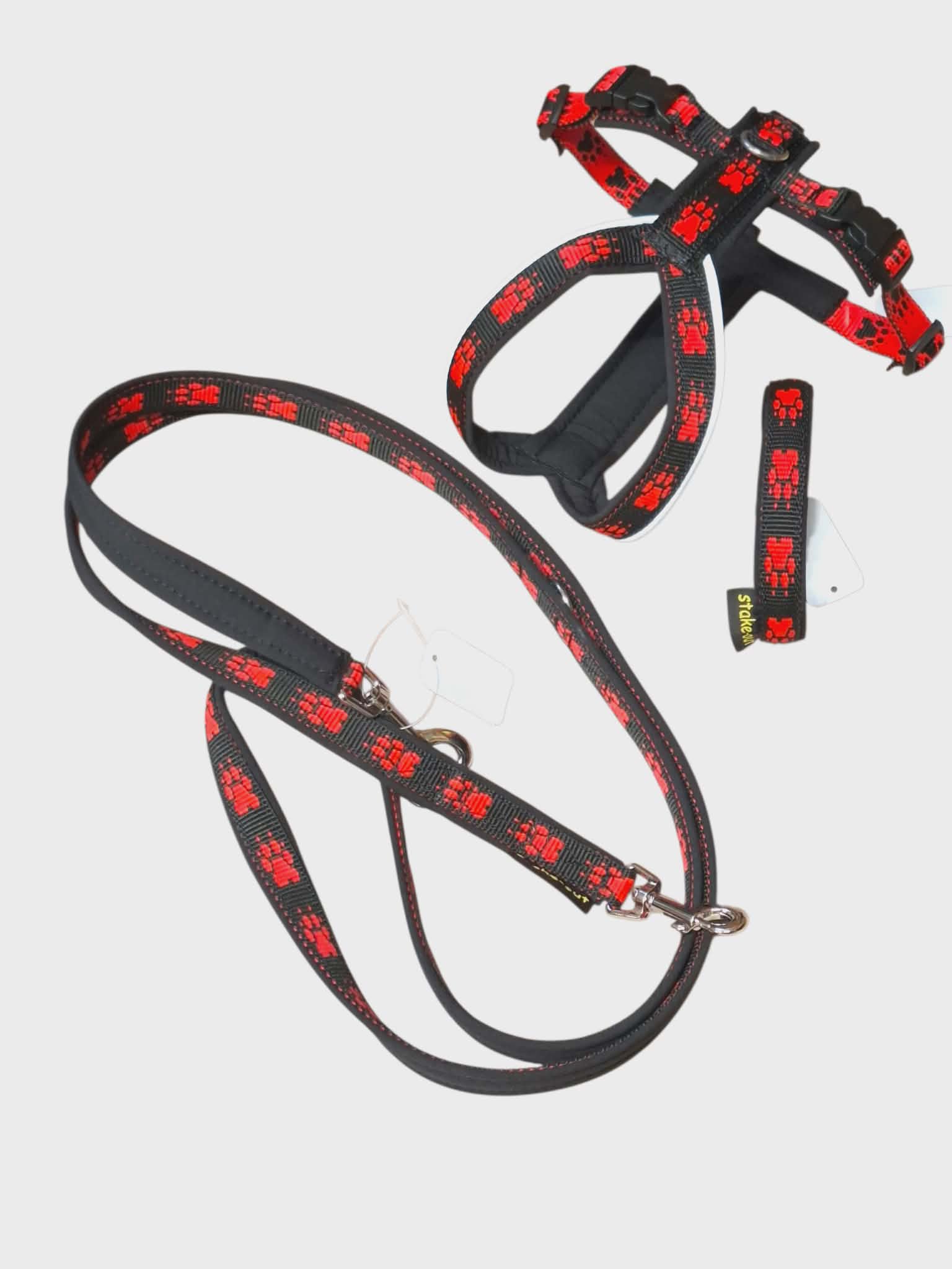 Set für kleine Hunde ( Geschirr, Leine, Halsband )