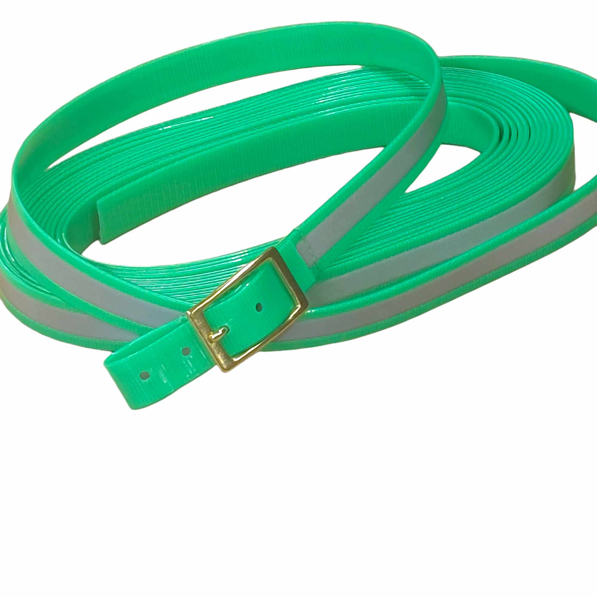448203381_465045386228990_1970524842496231775_n Schweißriemen Biothane GOLD 10m/25mm, neongrün,  Messingschnalle
