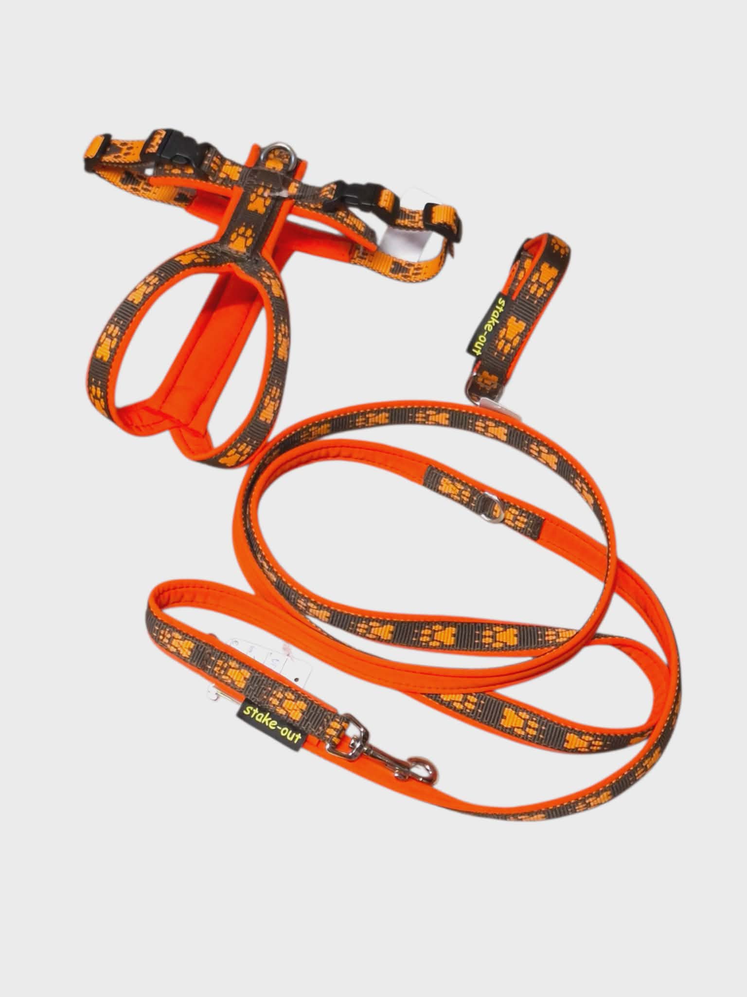 Set für kleine Hunde ( Geschirr, Leine, Halsband )
