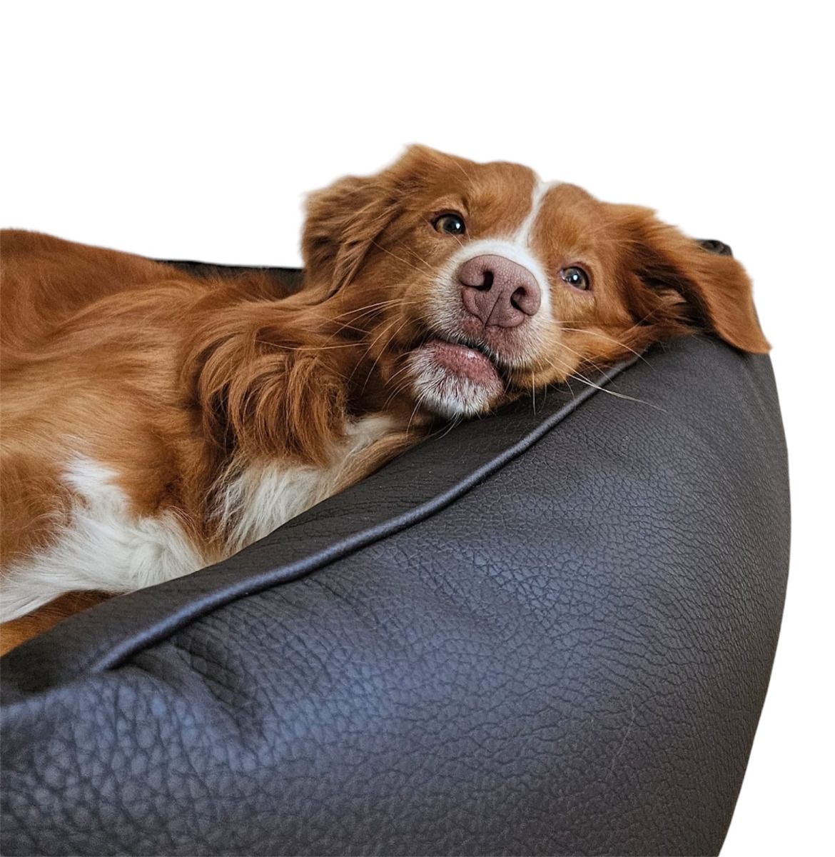 Orthopädisches Hundebett Milano aus Kunstleder schwarz