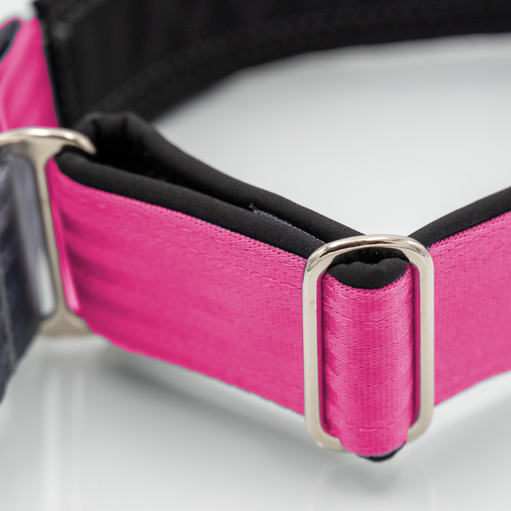 Detail Polsterung Innenliegende Softshell-Polsterung am Zugstopp-Hundehalsband – Nahaufnahme_var1